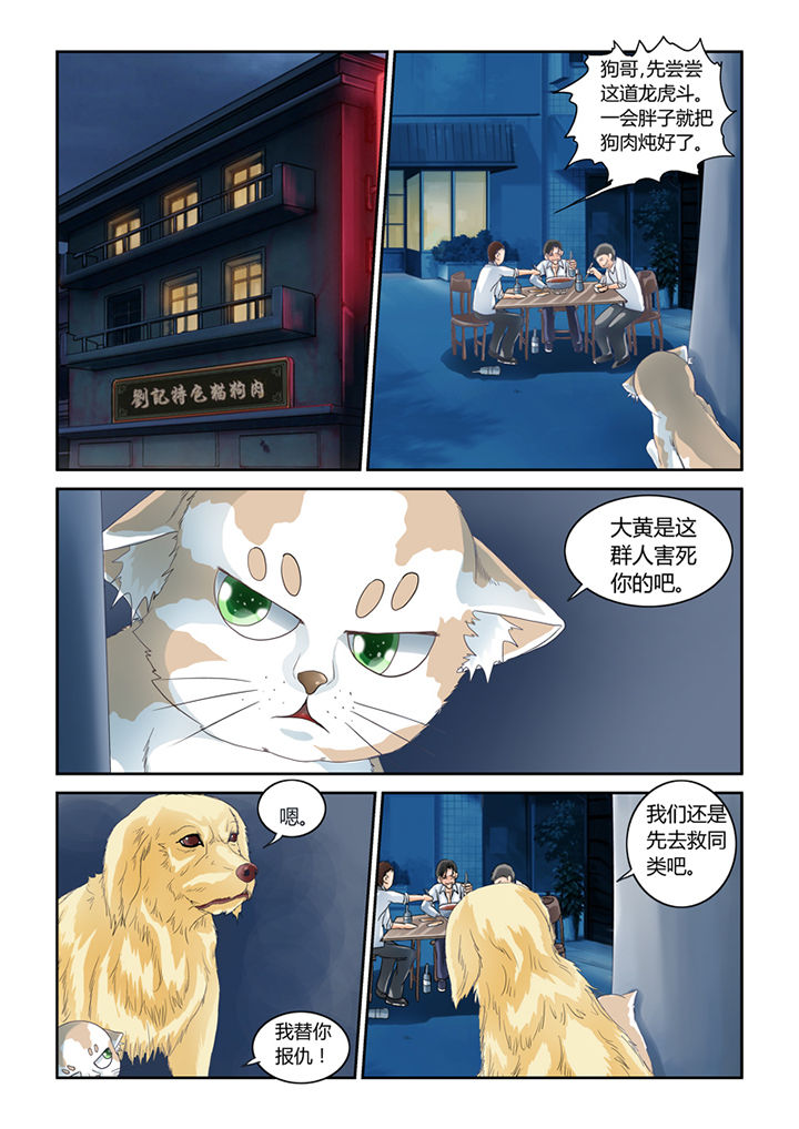 《吾家猫猫大人》漫画最新章节第48章：屠戮（上）免费下拉式在线观看章节第【8】张图片