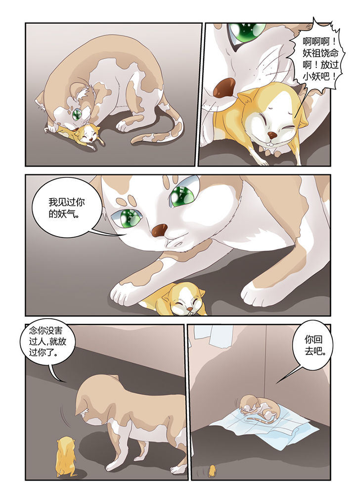 《吾家猫猫大人》漫画最新章节第55章：魔之本性免费下拉式在线观看章节第【7】张图片