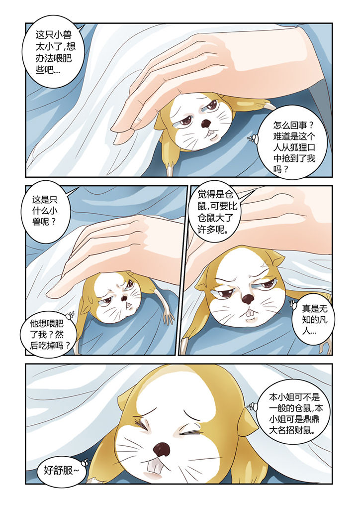 《吾家猫猫大人》漫画最新章节第56章：仓鼠的回忆免费下拉式在线观看章节第【3】张图片