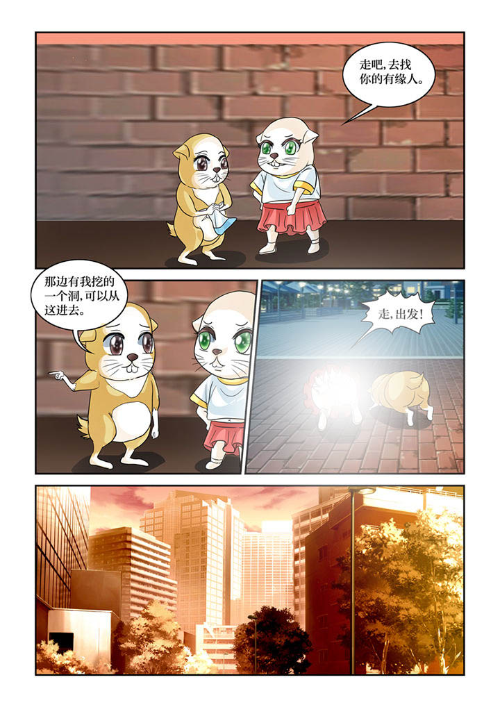 《吾家猫猫大人》漫画最新章节第61章：转世书生免费下拉式在线观看章节第【9】张图片