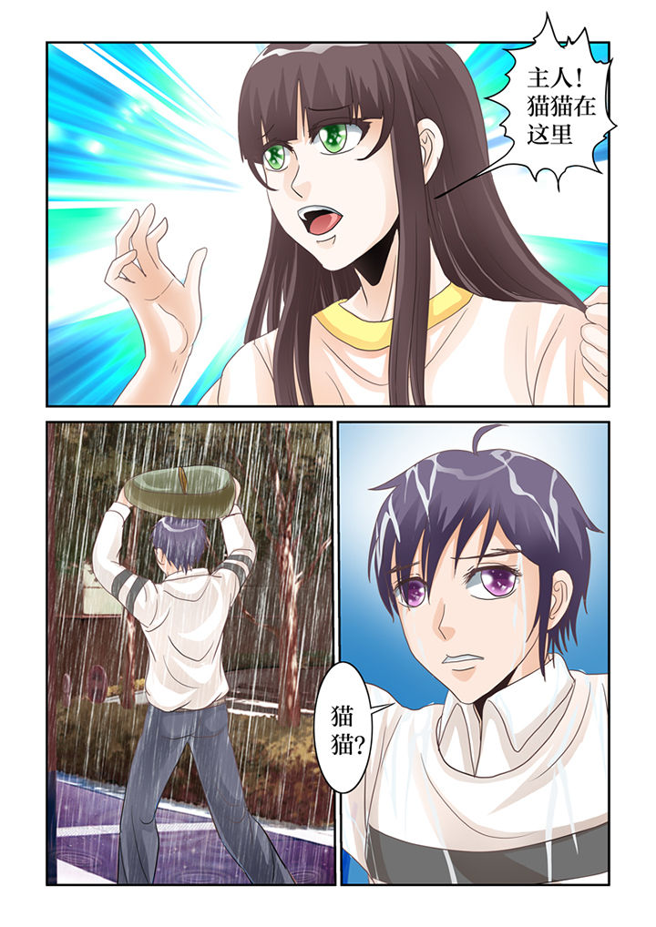 《吾家猫猫大人》漫画最新章节第63章：下雨了免费下拉式在线观看章节第【6】张图片