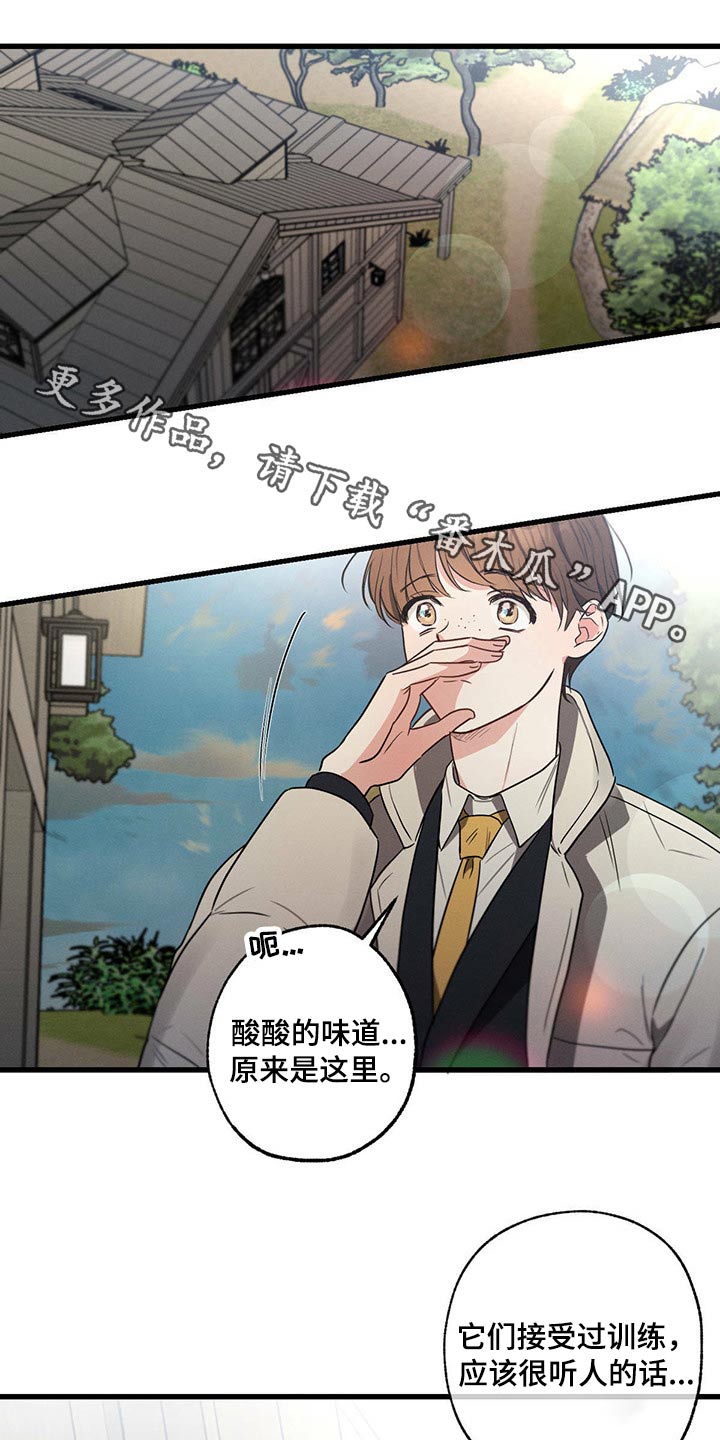 《不成文的意图》漫画最新章节第83章：悲伤免费下拉式在线观看章节第【29】张图片