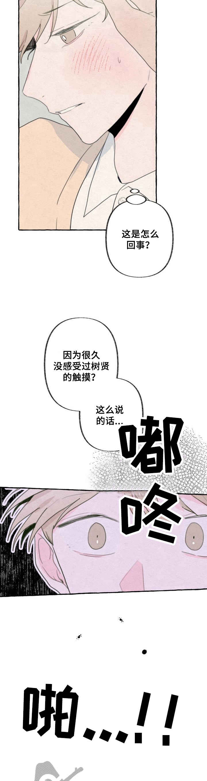 《不会忘记你》漫画最新章节第48章：记忆免费下拉式在线观看章节第【5】张图片