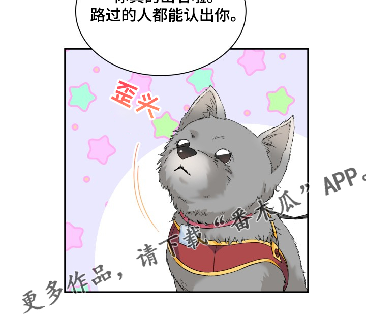 《青年住客》漫画最新章节第60章：采访会免费下拉式在线观看章节第【14】张图片