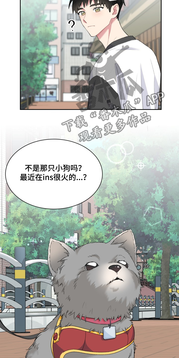 《青年住客》漫画最新章节第60章：采访会免费下拉式在线观看章节第【19】张图片