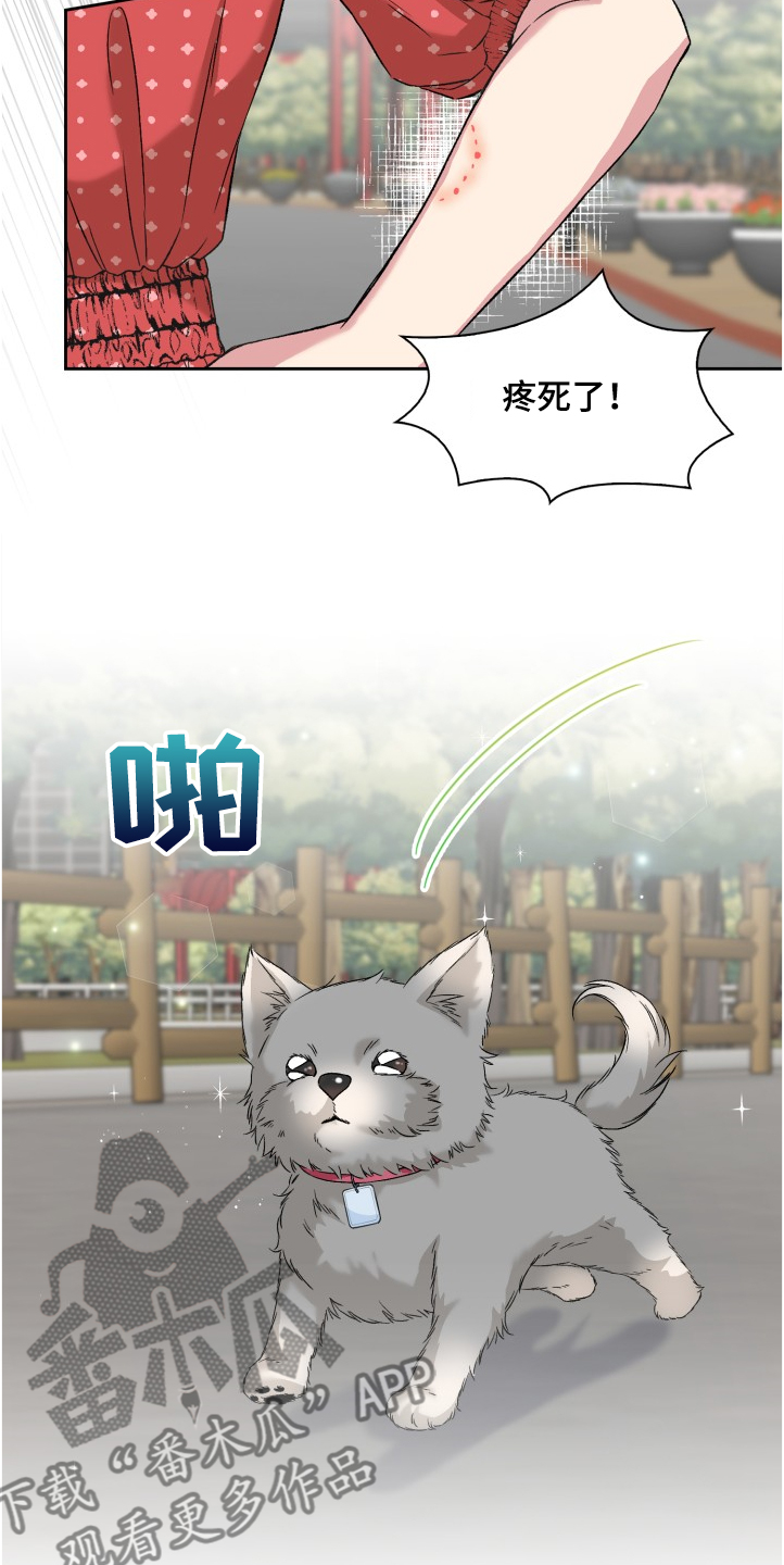 《青年住客》漫画最新章节第62章：奇怪的相遇免费下拉式在线观看章节第【8】张图片