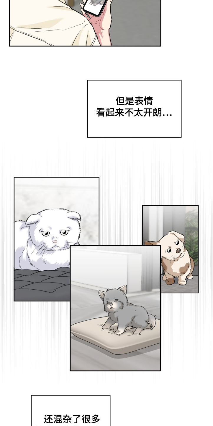 《青年住客》漫画最新章节第62章：奇怪的相遇免费下拉式在线观看章节第【17】张图片