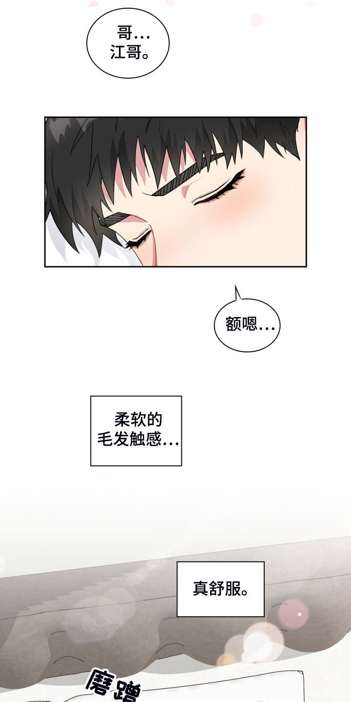 《青年住客》漫画最新章节第70章：我知道这是梦免费下拉式在线观看章节第【3】张图片