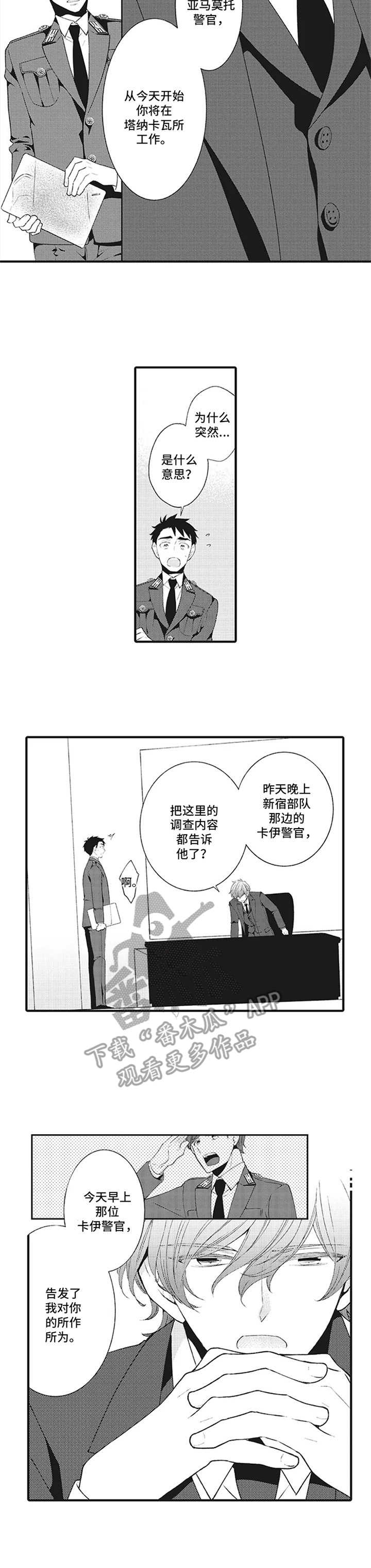 《特殊调查组》漫画最新章节第5章：调离免费下拉式在线观看章节第【10】张图片