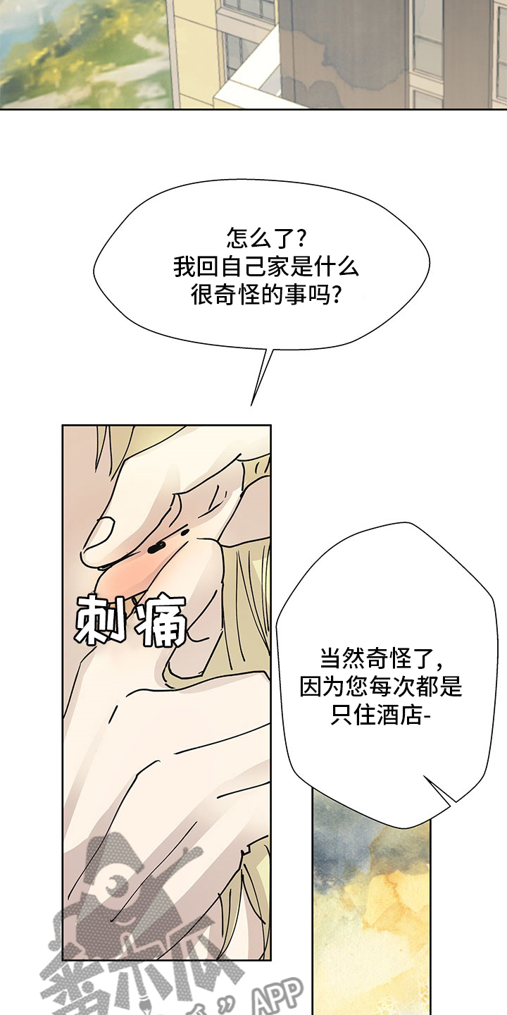 《兄弟情义》漫画最新章节第65章：调查免费下拉式在线观看章节第【6】张图片