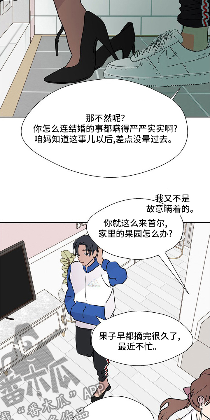 《兄弟情义》漫画最新章节第81章：好奇免费下拉式在线观看章节第【6】张图片