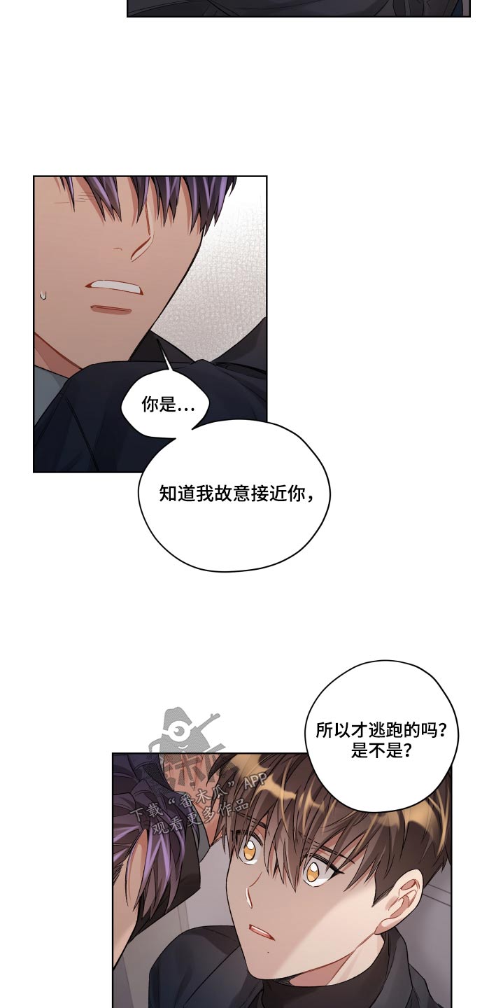 《一切并不是误会》漫画最新章节第74章：放开免费下拉式在线观看章节第【15】张图片