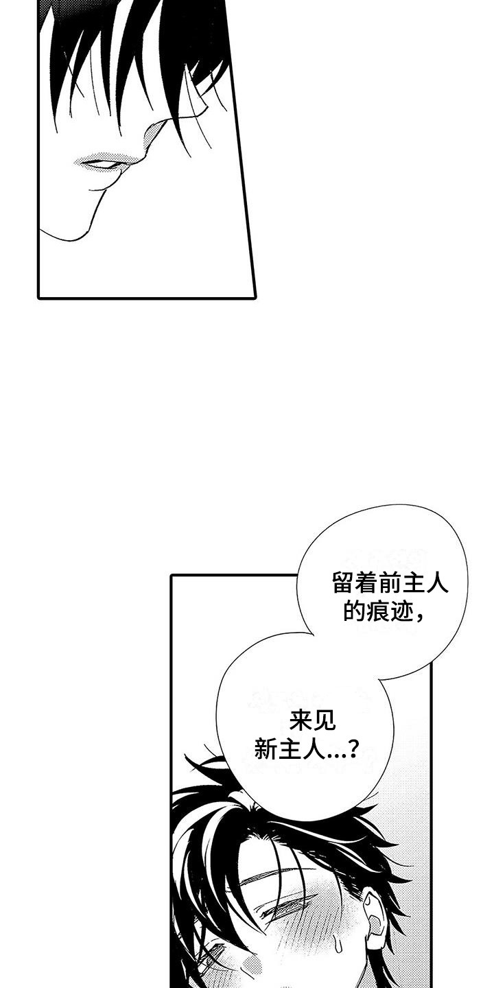 《甜与痛的治疗》漫画最新章节第4章：命令词免费下拉式在线观看章节第【4】张图片