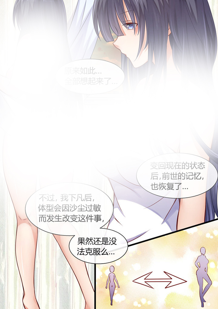 《我才不是唐三藏》漫画最新章节第17章：免费下拉式在线观看章节第【3】张图片