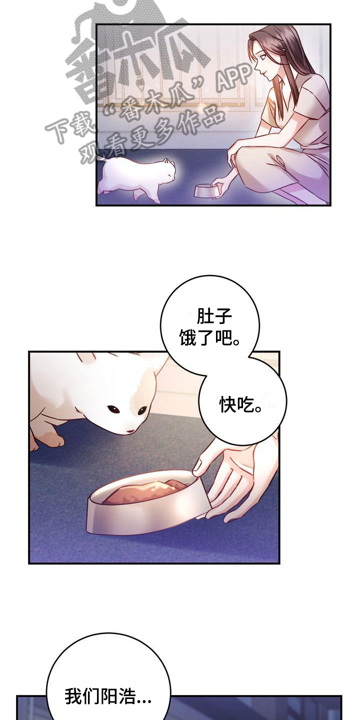 《自信进化》漫画最新章节第4章：养猫免费下拉式在线观看章节第【6】张图片