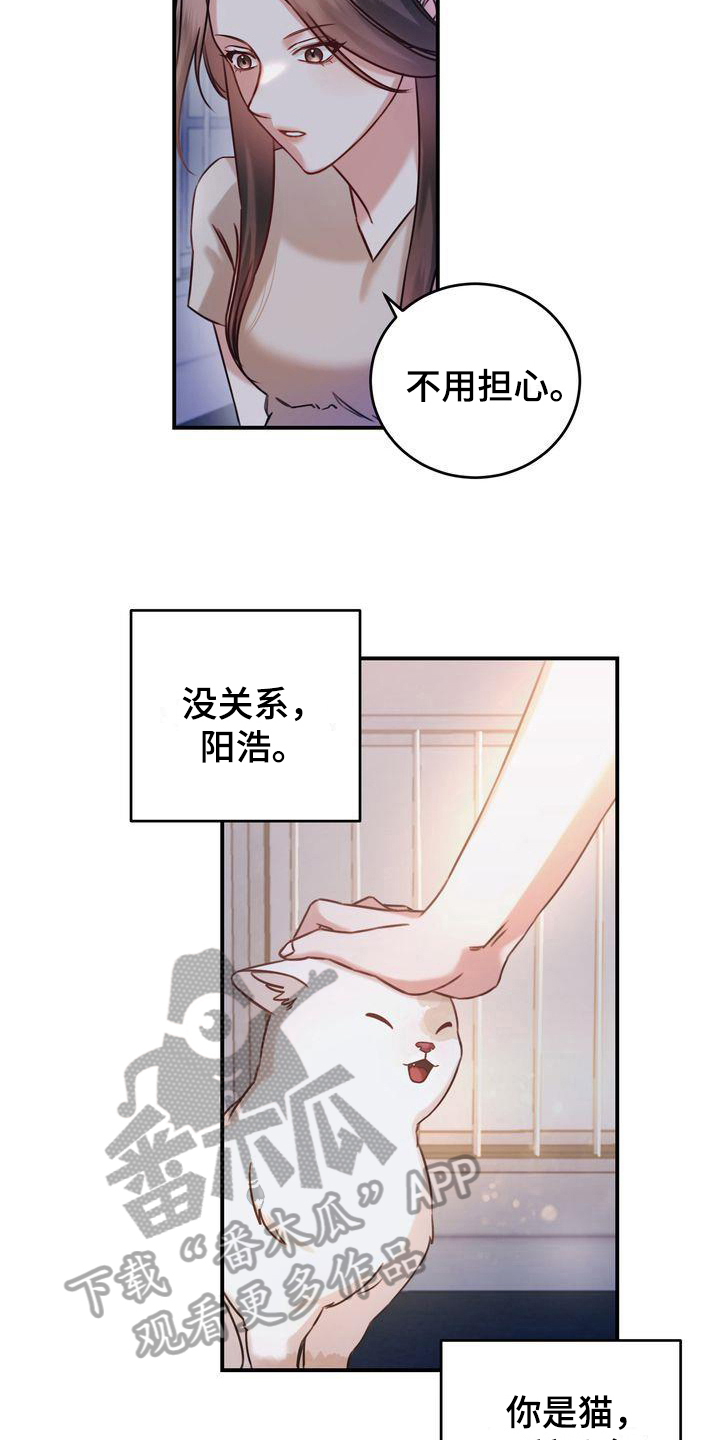 《自信进化》漫画最新章节第5章：要求免费下拉式在线观看章节第【12】张图片