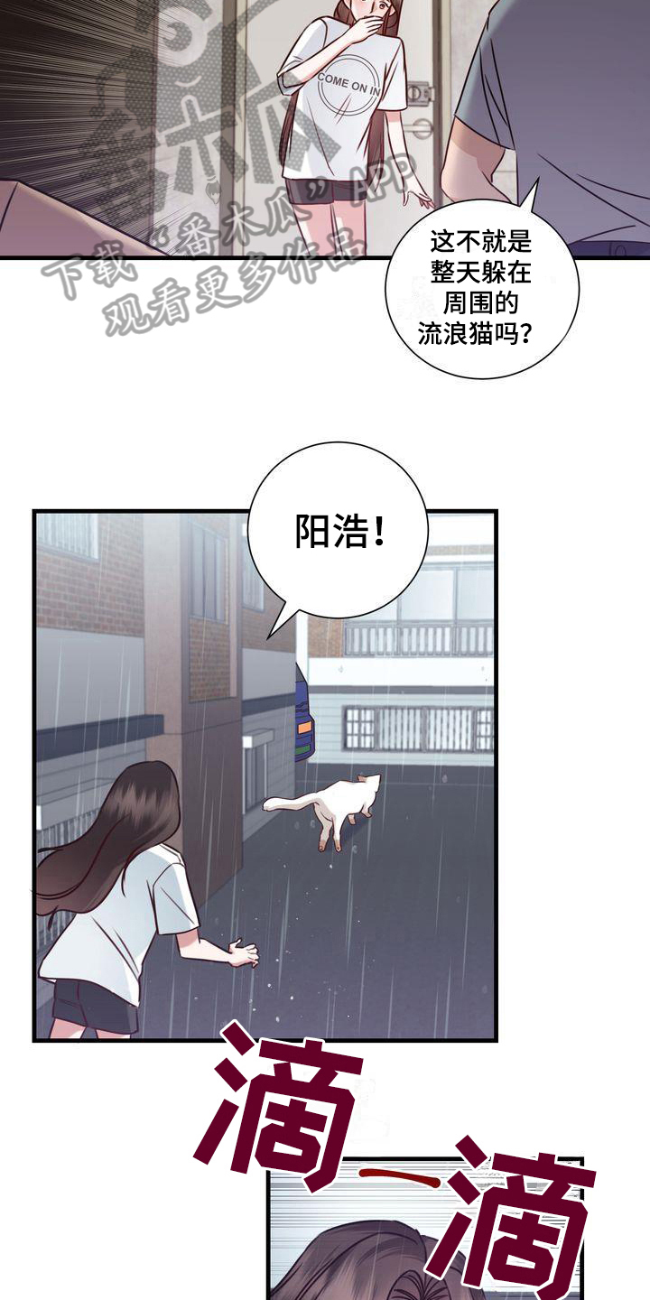 《自信进化》漫画最新章节第17章：找猫免费下拉式在线观看章节第【4】张图片