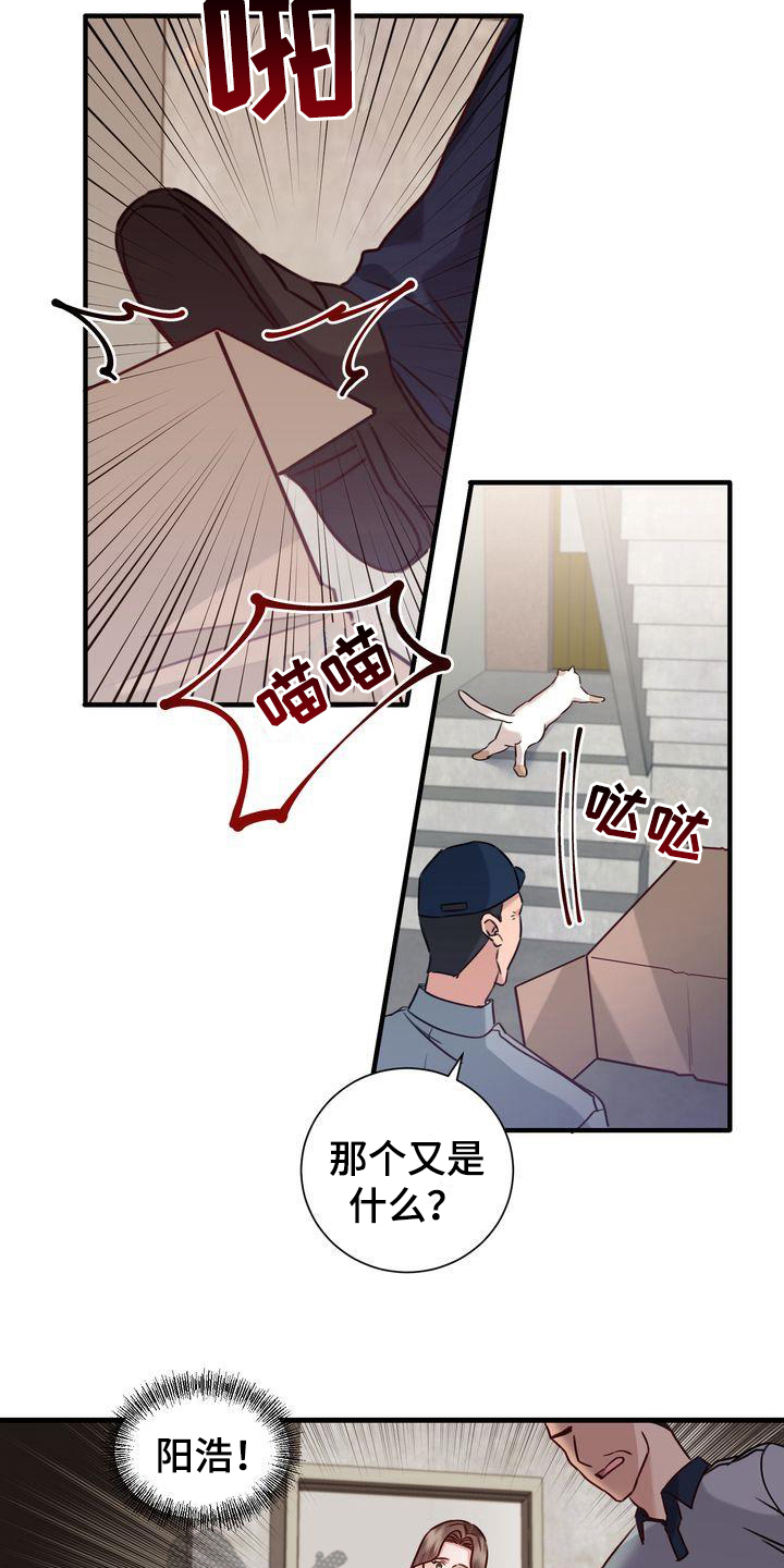 《自信进化》漫画最新章节第17章：找猫免费下拉式在线观看章节第【5】张图片