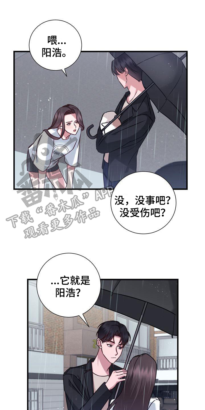 《自信进化》漫画最新章节第18章：提议免费下拉式在线观看章节第【17】张图片