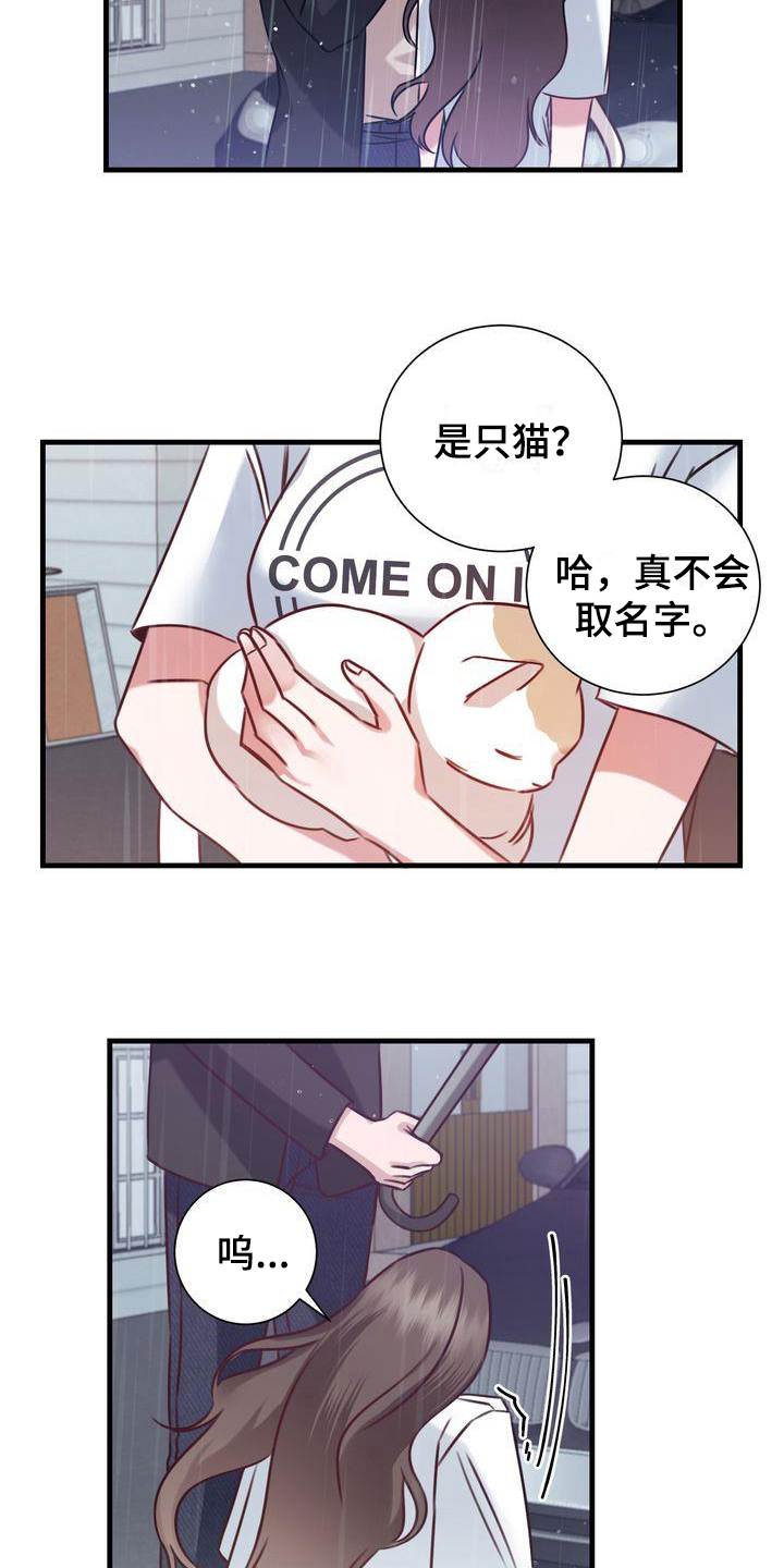 《自信进化》漫画最新章节第18章：提议免费下拉式在线观看章节第【16】张图片