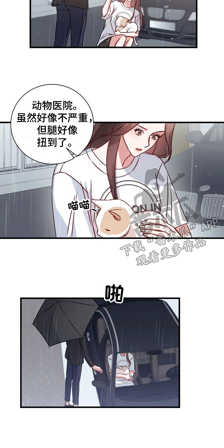 《自信进化》漫画最新章节第18章：提议免费下拉式在线观看章节第【10】张图片