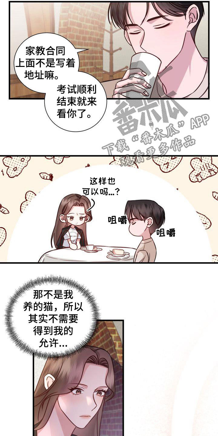 《自信进化》漫画最新章节第19章：收留免费下拉式在线观看章节第【10】张图片