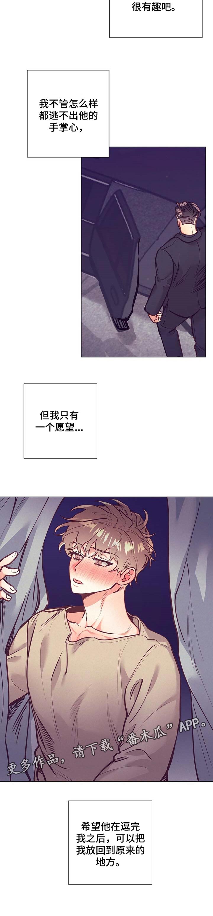 《不该说的谎言》漫画最新章节第27章：愿望免费下拉式在线观看章节第【1】张图片