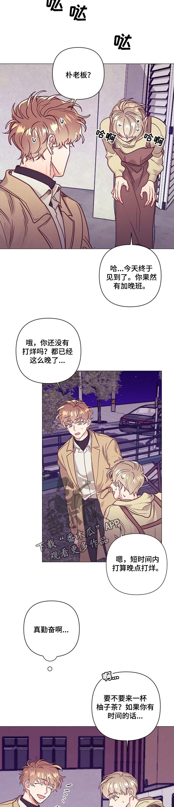 《不该说的谎言》漫画最新章节第35章：太绝了免费下拉式在线观看章节第【12】张图片