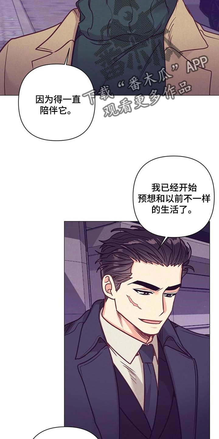 《不该说的谎言》漫画最新章节第42章：第一次这么期待免费下拉式在线观看章节第【3】张图片