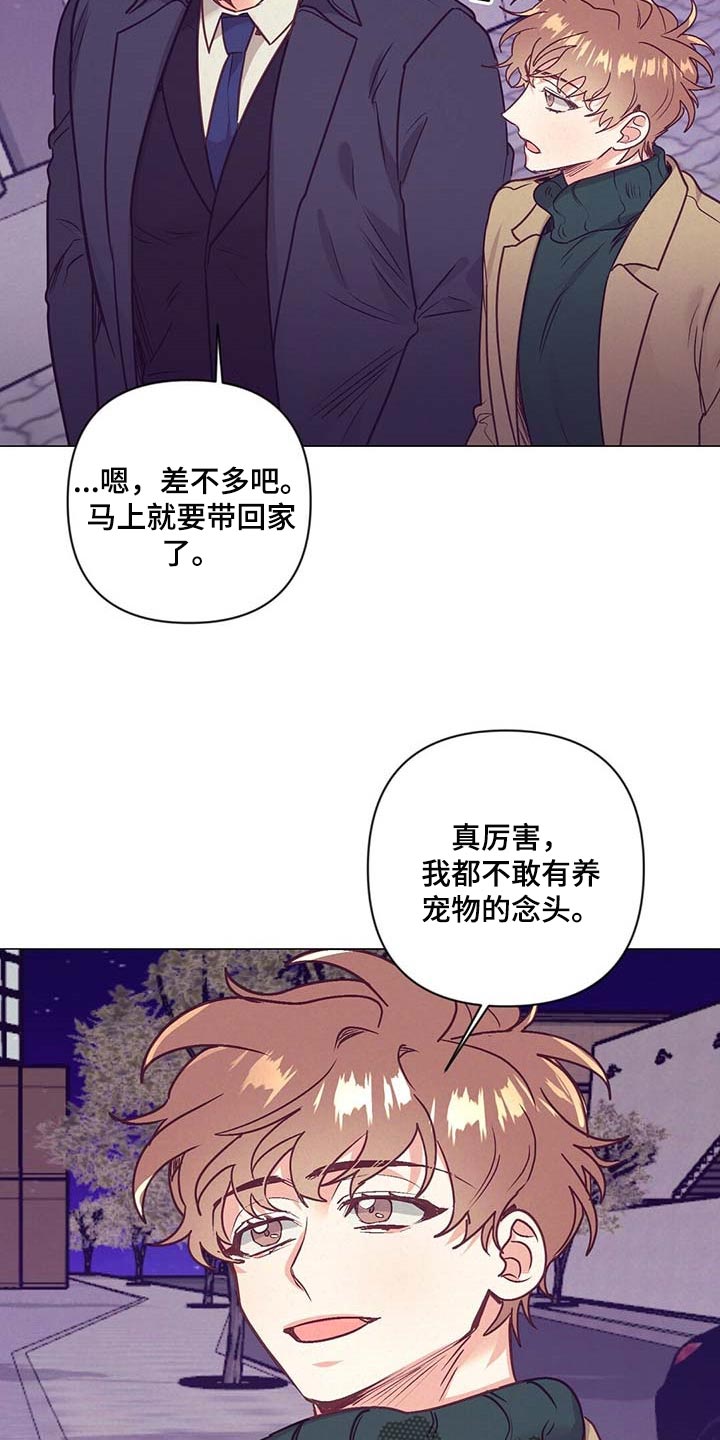 《不该说的谎言》漫画最新章节第42章：第一次这么期待免费下拉式在线观看章节第【4】张图片