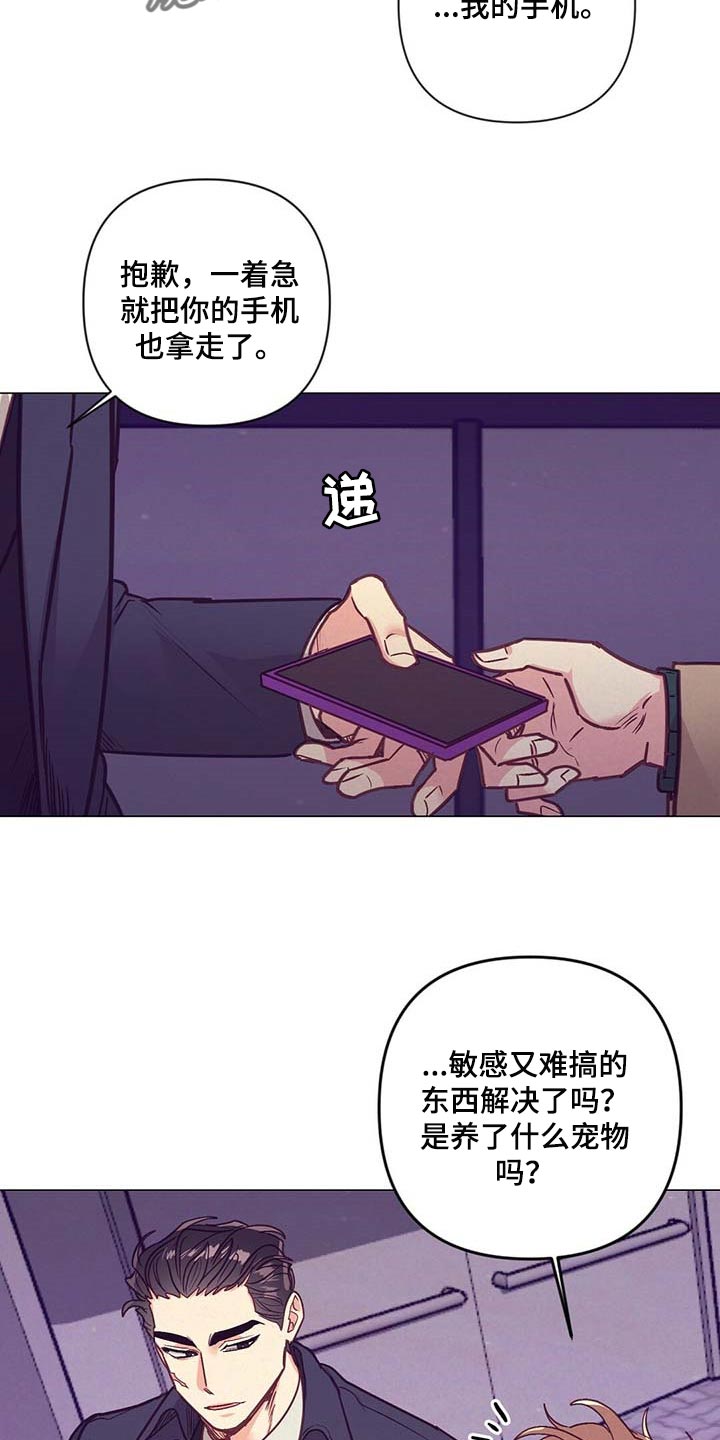 《不该说的谎言》漫画最新章节第42章：第一次这么期待免费下拉式在线观看章节第【5】张图片