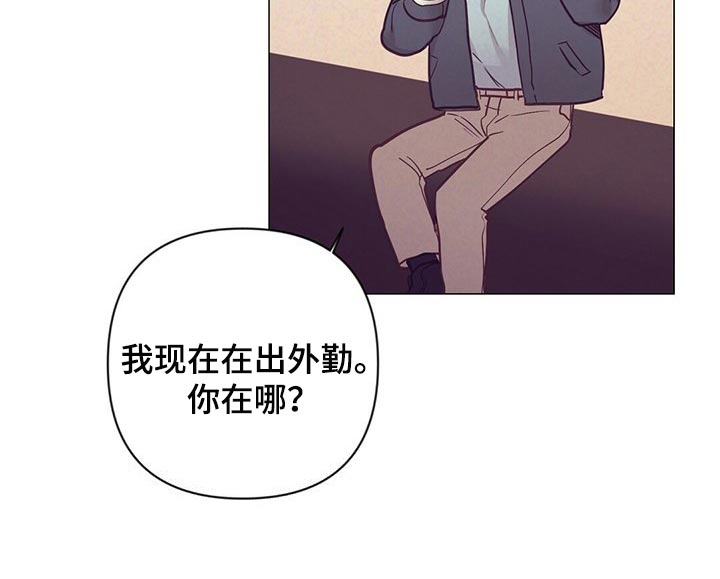 《不该说的谎言》漫画最新章节第45章：保护免费下拉式在线观看章节第【15】张图片