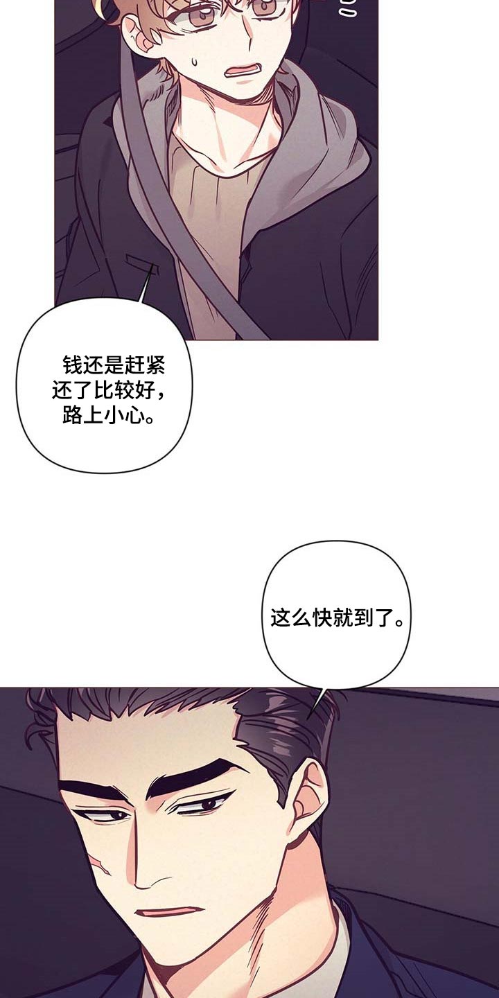 《不该说的谎言》漫画最新章节第50章：美丽的存在免费下拉式在线观看章节第【9】张图片