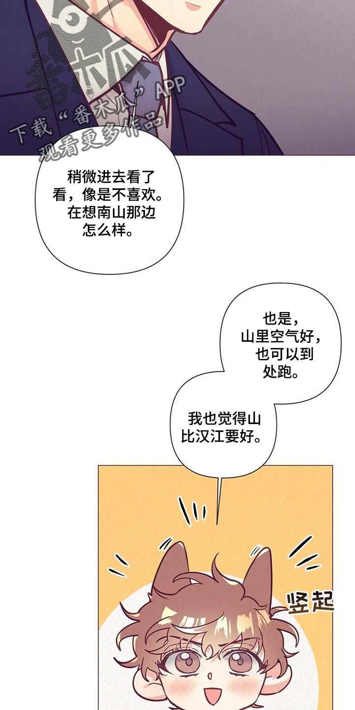 《不该说的谎言》漫画最新章节第50章：美丽的存在免费下拉式在线观看章节第【5】张图片