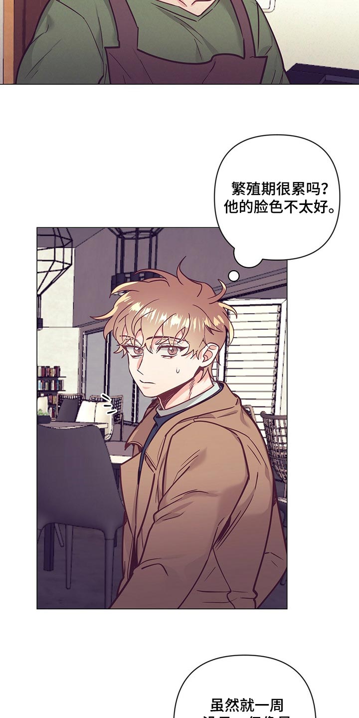 《不该说的谎言》漫画最新章节第54章：心生期待免费下拉式在线观看章节第【15】张图片