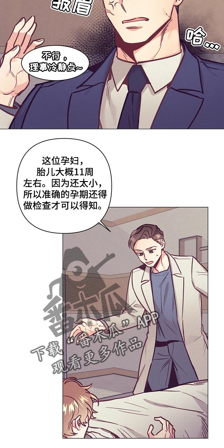 《不该说的谎言》漫画最新章节第61章：奇迹免费下拉式在线观看章节第【18】张图片