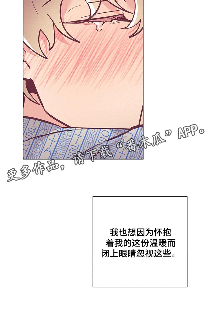 《不该说的谎言》漫画最新章节第62章：考虑我吧免费下拉式在线观看章节第【1】张图片