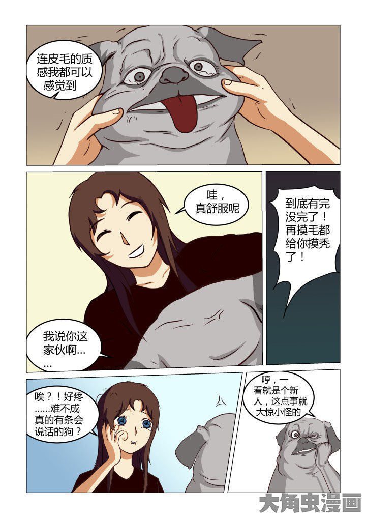 《特办处事件录》漫画最新章节第65章：免费下拉式在线观看章节第【5】张图片