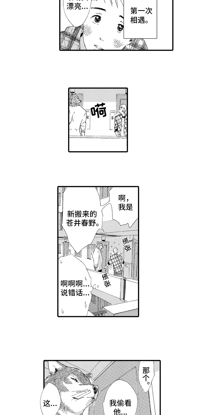 《春野与狼独舞》漫画最新章节第1章：疲惫免费下拉式在线观看章节第【8】张图片