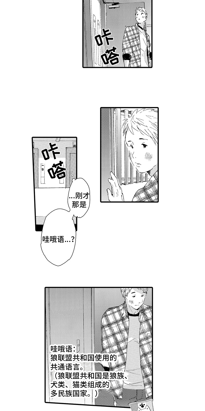 《春野与狼独舞》漫画最新章节第1章：疲惫免费下拉式在线观看章节第【6】张图片