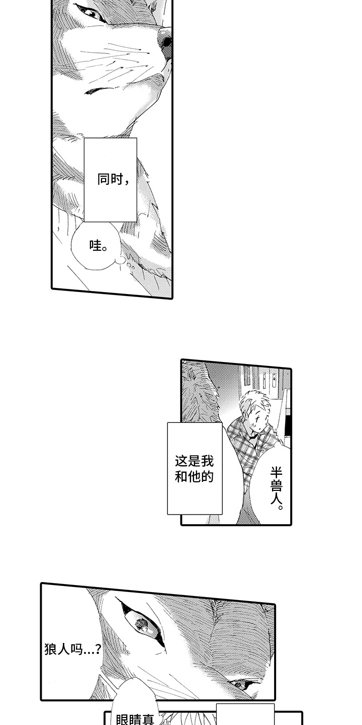 《春野与狼独舞》漫画最新章节第1章：疲惫免费下拉式在线观看章节第【9】张图片