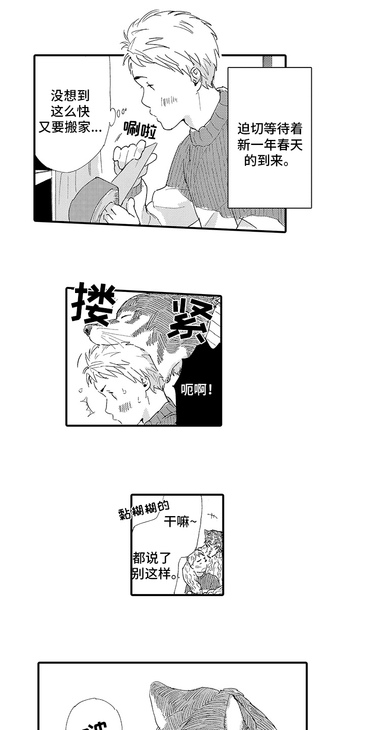 《春野与狼独舞》漫画最新章节第3章：喜欢免费下拉式在线观看章节第【5】张图片