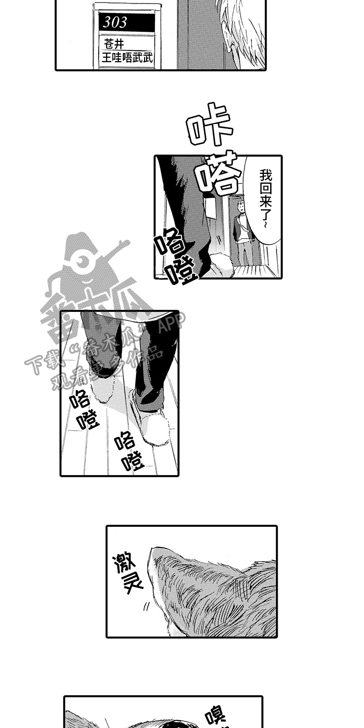 《春野与狼独舞》漫画最新章节第4章：同居免费下拉式在线观看章节第【9】张图片