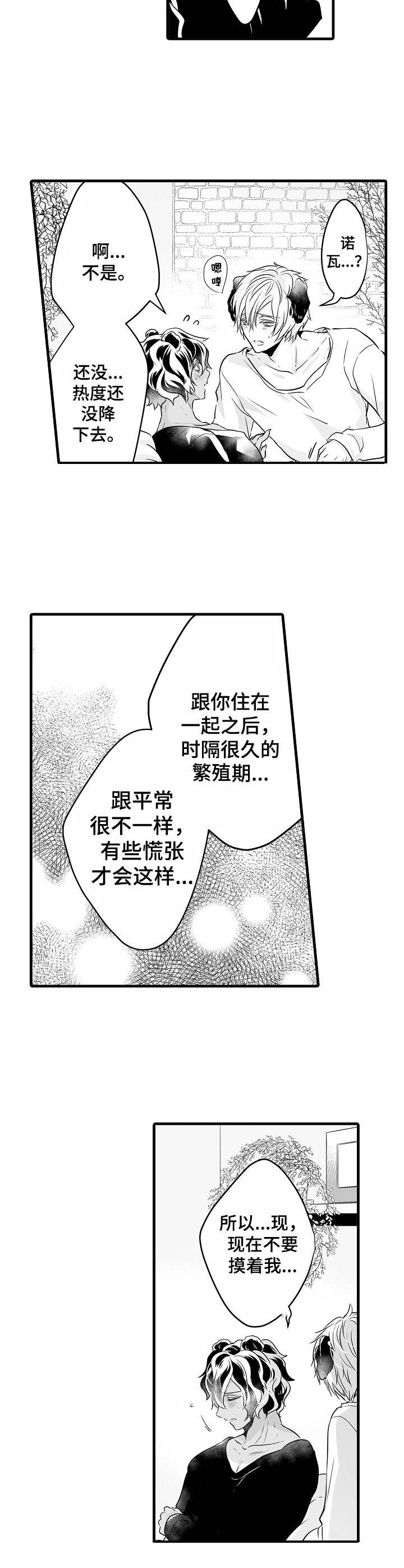 《森林中的熊》漫画最新章节第9章： 更加依赖免费下拉式在线观看章节第【6】张图片