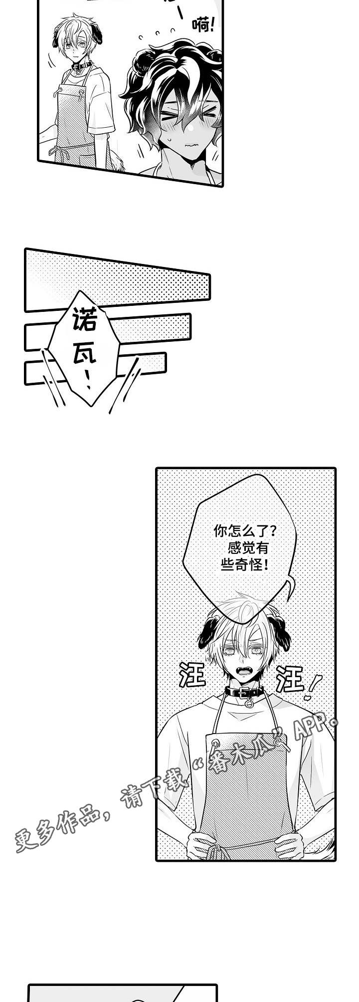 《森林中的熊》漫画最新章节第12章：看店免费下拉式在线观看章节第【3】张图片