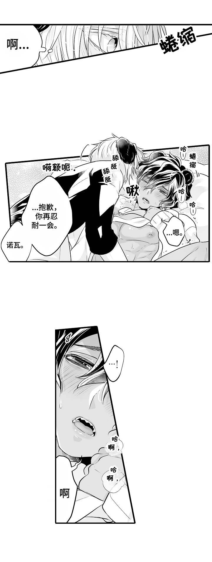 《森林中的熊》漫画最新章节第13章：涂药免费下拉式在线观看章节第【4】张图片