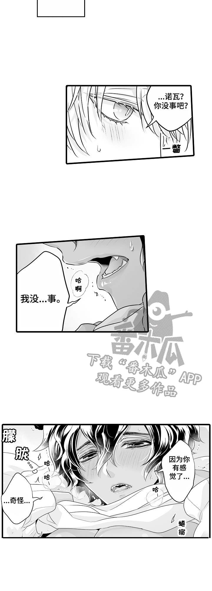 《森林中的熊》漫画最新章节第13章：涂药免费下拉式在线观看章节第【5】张图片