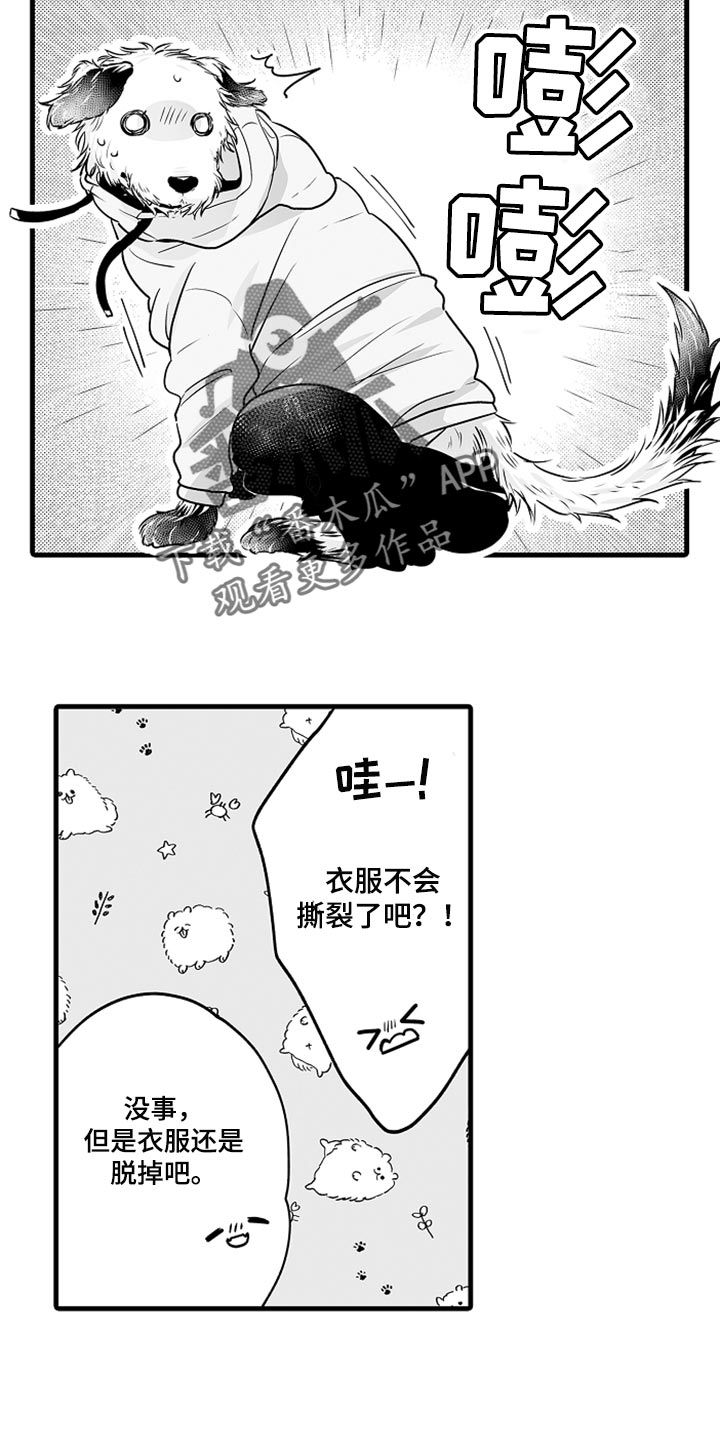 《森林中的熊》漫画最新章节第19章：睡懒觉免费下拉式在线观看章节第【9】张图片