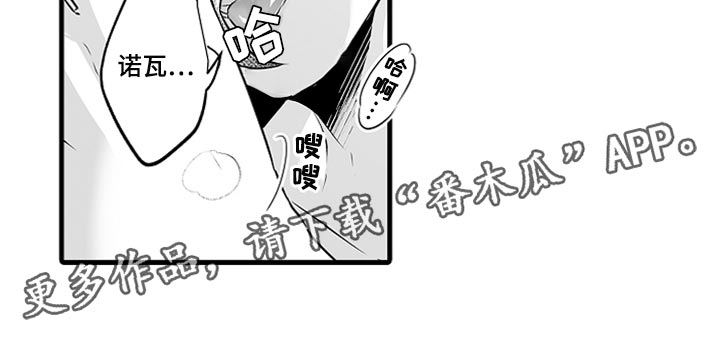 《森林中的熊》漫画最新章节第19章：睡懒觉免费下拉式在线观看章节第【1】张图片