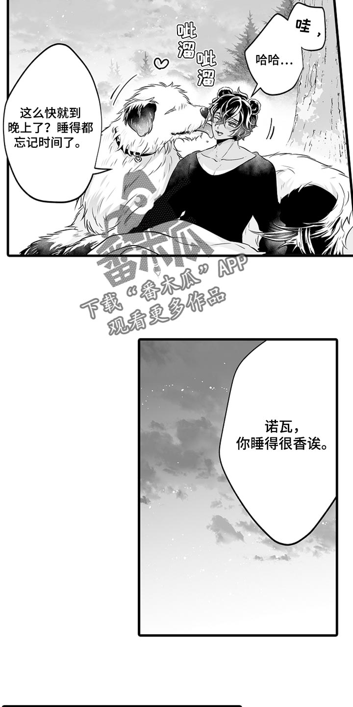 《森林中的熊》漫画最新章节第19章：睡懒觉免费下拉式在线观看章节第【5】张图片